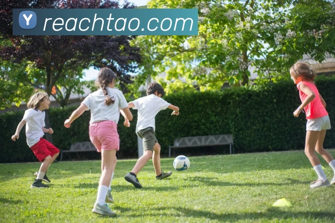 开云体验APP品牌故事